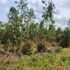 Kiamuringa Prime land for sale thumb 2