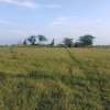 3 (50 by 100)  fertile land plots in Kamulu thumb 0