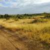 Affordable Plots in THIKA-MUTHARAA. thumb 7