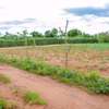 100 by 100 ft plot in Omega Estate Kibwezi Makueni County thumb 6