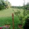 1/4 Acre with a House for sale Ruiru Varsity Ville Estate. thumb 3