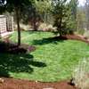 Looking For Vetted  & Trusted Garden Maintenance Specialists in Nairobi ? Free Quote & advice . thumb 0