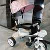 Push Tricycle with Canopy thumb 2