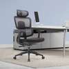 Office Chair: High Back Orthopedic Lumbar Support Chair thumb 0