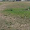 4.8 ac Commercial Property with Garden in Athi River thumb 24