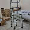 SINGLE&DOUBLE TELESCOPIC LADDERS FOR SALE thumb 1