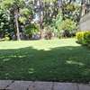 3 Bed House with En Suite in Lavington thumb 23