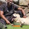 Dog and Puppy Training Classes Nairobi -Nairobi Dog Trainers thumb 6