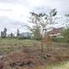 Prime 1/4 acre plot for sale in Ruiru Mhasibu thumb 1