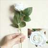 1/ 5/ 10 Pieces Artificial Silk Rose Flowers Long Branch thumb 0