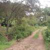 500 m² Residential Land in Ngong thumb 9