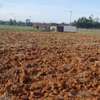 1/4 ACRE PLOT SALE IN MARURA CHEMALUK ELDORET thumb 6