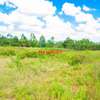 0.2 ha Residential Land at Lusigetti thumb 1