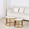Marble Nesting Coffee Table thumb 3