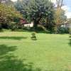 0.8 ac Land in Westlands Area thumb 2