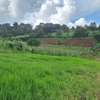 1 ac Residential Land at Kentmere thumb 7