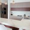 Furnished 2 Bed Apartment with En Suite in Gigiri thumb 11