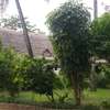 3br house with 2 SQ on 3/4 acre plot for rent near City Mall. Hr-2510 thumb 5