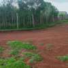 1/4 ACRE PLOT SALE IN RACECOURSE AIRPORT SACCO ELDORET thumb 3