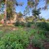 0.05 ha residential land for sale in Gikambura thumb 9