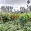 0.05 ha Residential Land at Gikambura thumb 31