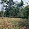 2,023 m² Residential Land at Rosslyn Lone Tree thumb 2