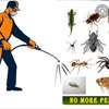 Fumigation and pest control services thumb 1