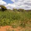 0.05 m² Land at Kikuyu thumb 5