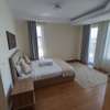 Furnished 2 Bed Apartment with En Suite in Kilimani thumb 13