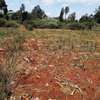 5000 m² residential land for sale in Ngong thumb 7