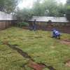 TRUSTED & RELIABLE  LANDSCAPING & GARDEN SERVICES IN MOMBASA.REQUEST A FREE QUOTE TODAY ! thumb 11
