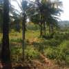 Quarter acre piece of land for sale at Vipingo-Gongoni 2477 thumb 0