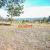 0.05 ha Land at Kamangu thumb 6