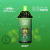 R And M Magic 8000 Puffs Rechargeable Vape - Mint thumb 0