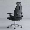 Office Chair: Dual Back Orthopedic Office Chair thumb 1