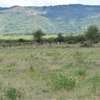 5 to 200acres of Prime land for sale in Sultan Hamud thumb 0