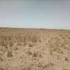 5 Acres of Land For Sale in Kisaju thumb 2