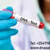 DNA testing in Kenya thumb 0