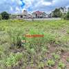 0.05 ha Residential Land at Gikambura thumb 17