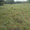 6 ac Land in Ongata Rongai thumb 4