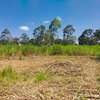 0.5 ac Land in Ridgeways thumb 0