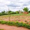 100 by 100 ft plot in Omega Estate Kibwezi Makueni County thumb 2