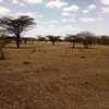 Land at Kitengela thumb 14
