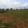 Malindi Affordable Land thumb 1