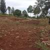 40X80ft PLOTS FOR SALE AT KABATI ZABKA IN MURANGA COUNTY thumb 5