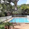 7 Bed House with Swimming Pool in Nyari thumb 13