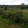 300 Acres Fronting River Galana Is For Sale thumb 1