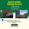 Eastleigh Prime Plots thumb 0