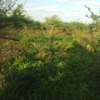 50 Acres Is Available For Sale in Mutha Kitui County thumb 2