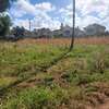 Mtwapa garden 1/2 acre plot thumb 5